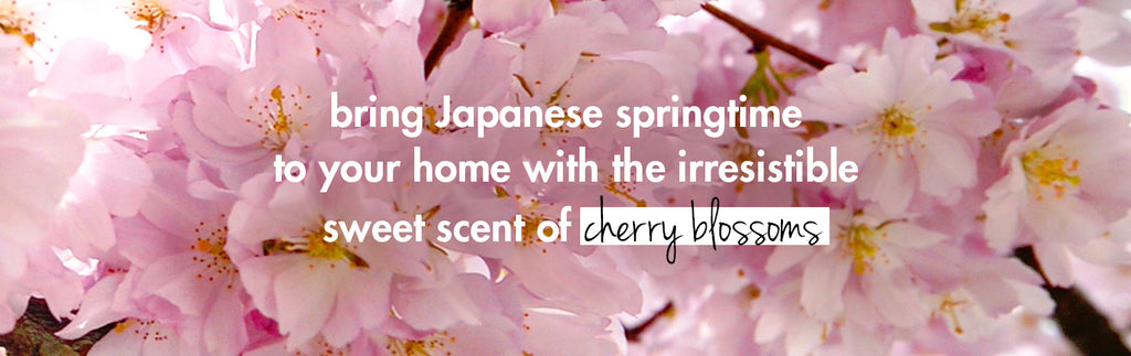 Cherry Blossom & Tea Rose