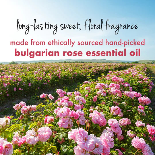  Ethically Sourced Rose Fragrance 