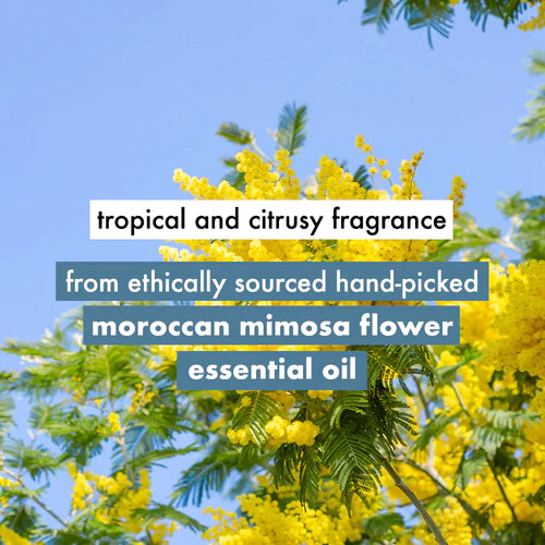  Tropical & Citrusy Fragrance of Coconut Water & Mimosa Flower  