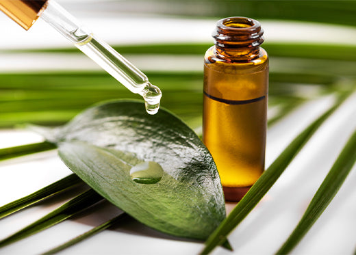 How To Use Tea Tree Oil For Your Scalp