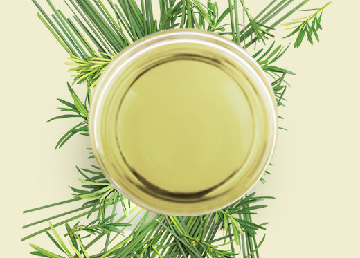 7 Reasons To Include Tea Tree Oil In Your Hair Care Routine