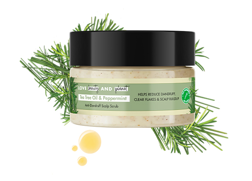 Fighting With Dandruff? This Tea Tree Oil Scalp Scrub Is At Rescue