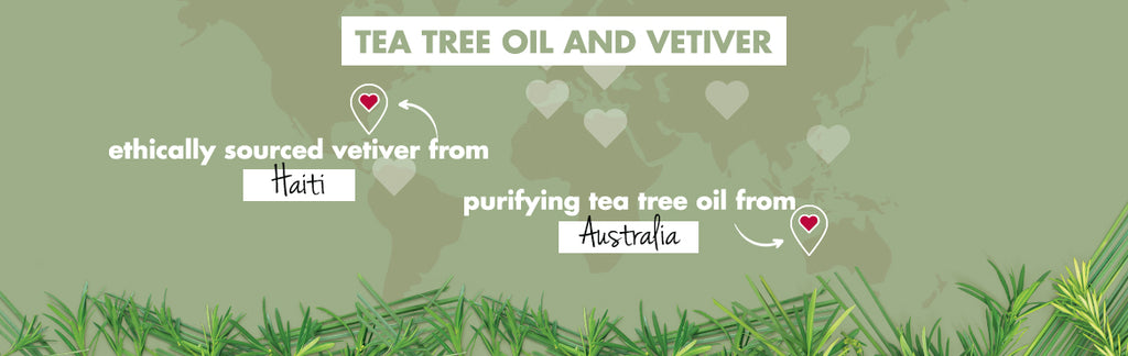 Tea Tree Oil & Vetiver