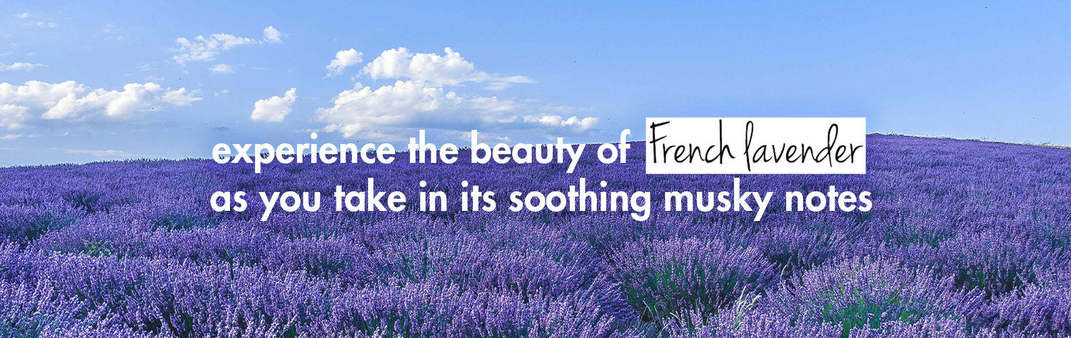 Argan Oil & Lavender