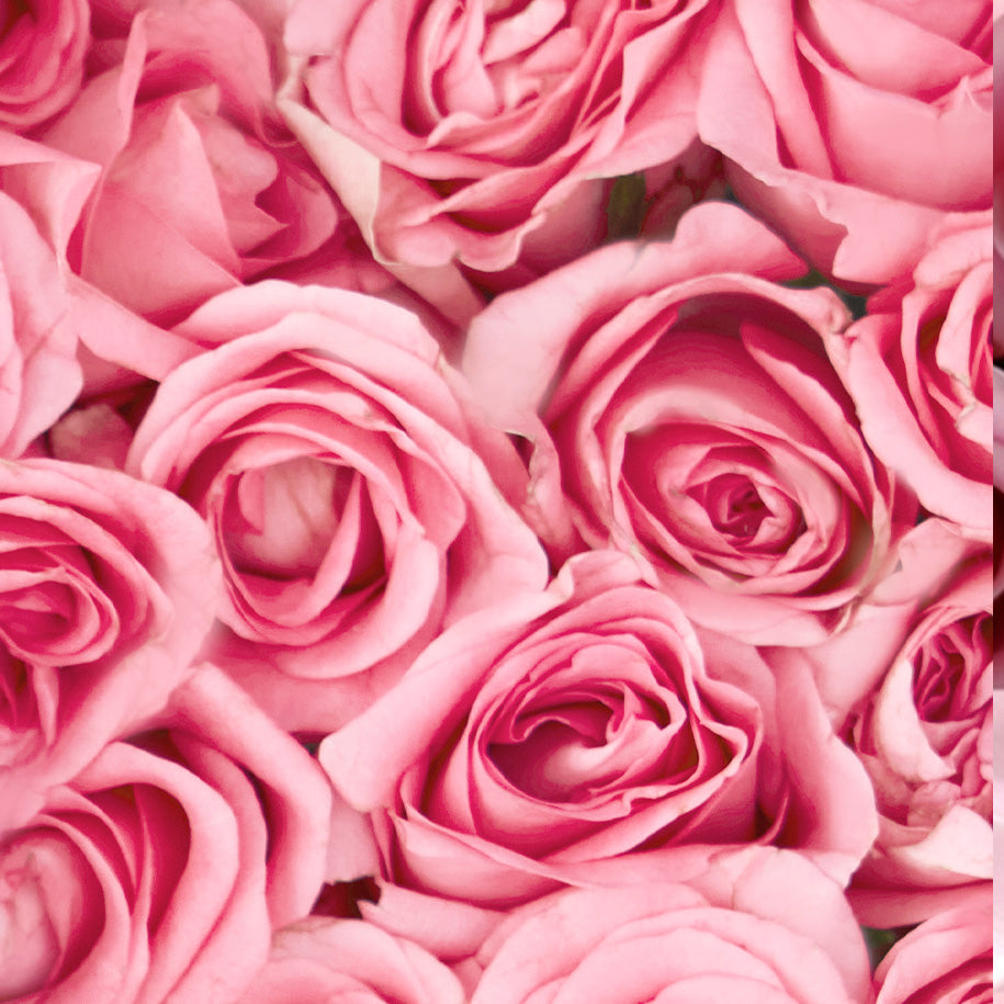 Murumuru Butter & Rose