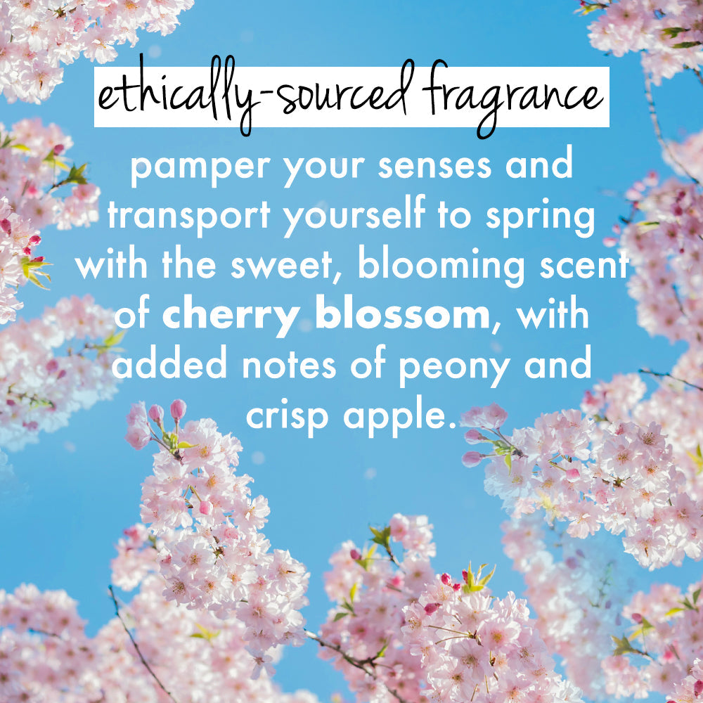  Cherry Blossom & Tea Rose Body Wash & Lotion Combo (200ml + 190ml)