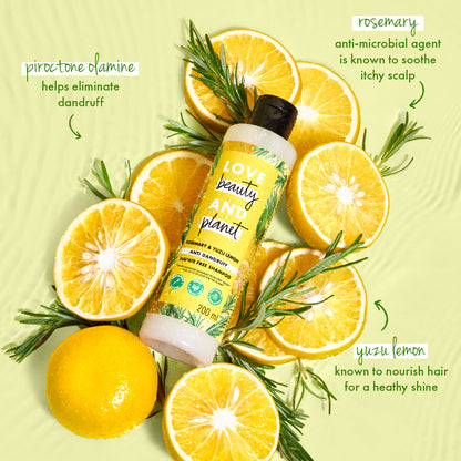 Rosemary & Yuzu Lemon Anti Dandruff Shampoo