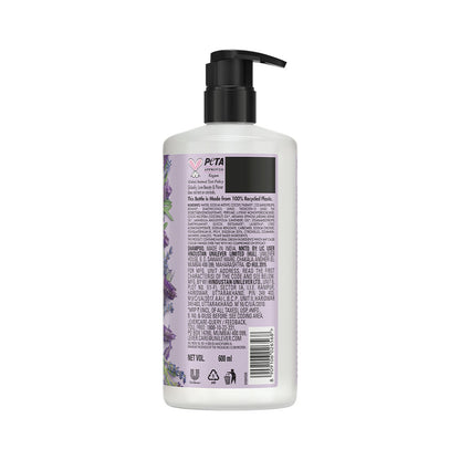 Oil and Lavender Sulfate Free Smooth Serene Shampoo | 600ml