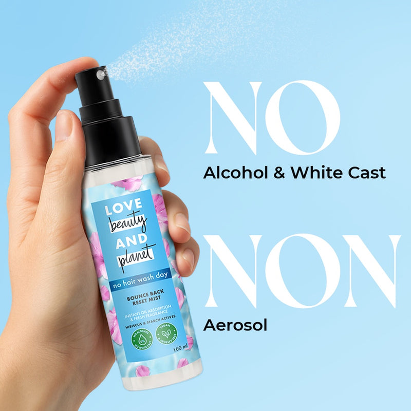 Reset Mist - No Alcohol Dry Shampoo