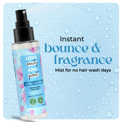 Reset Mist - No Alcohol Dry Shampoo