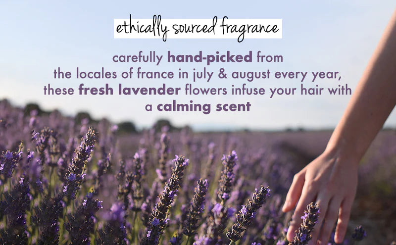 Ethically Sourced Fragrance
