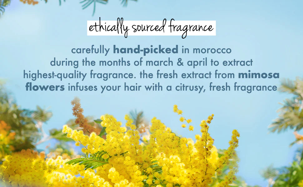  Ethically Sourced Fragrance Coconut Water & Mimosa Flower Conditioner 