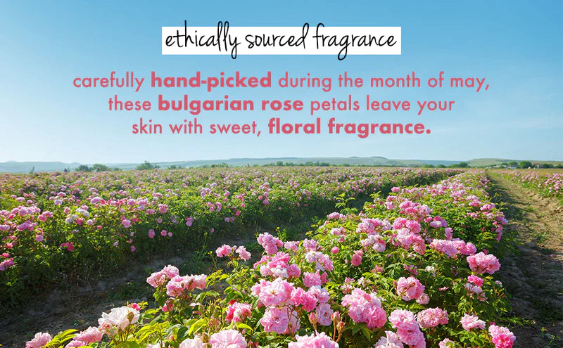  Ethically Sourced Fragrance of Bodywash 