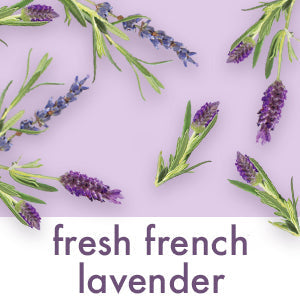  Fresh French Lavender 