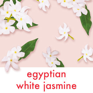  Hand-Picked White Jasmine  Oil 