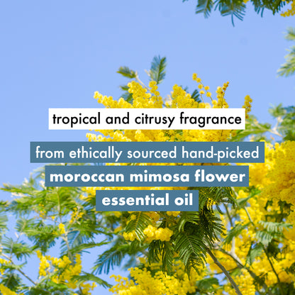 Coconut Water & Mimosa Flower Shampoo + Conditioner Combo