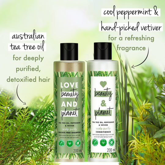 Tea Tree & Vetiver Scalp Refresh Combo  Shampoo + Conditioner ( 200ml + 200ml )