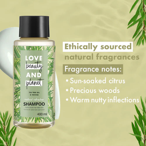  Fragance Notes of Tea Tree & Vetiver Scalp Refresh Shampoo  